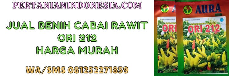 jual,benih,jual benih,ori 212,murah,pertanian indonesia